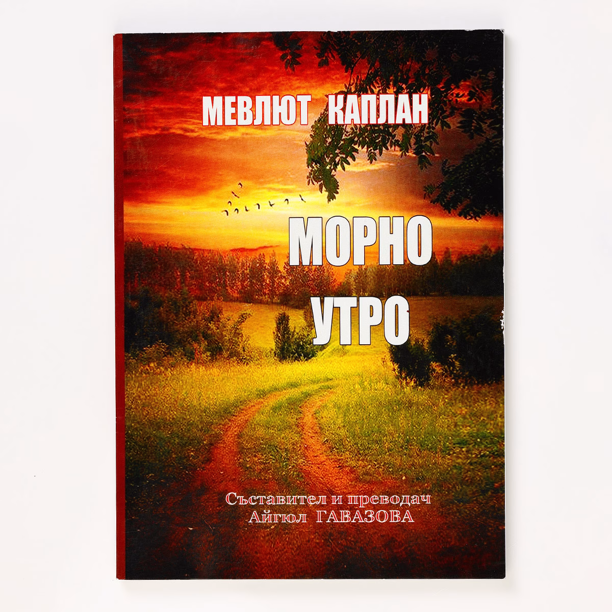 Малък тираж книги с меки корици